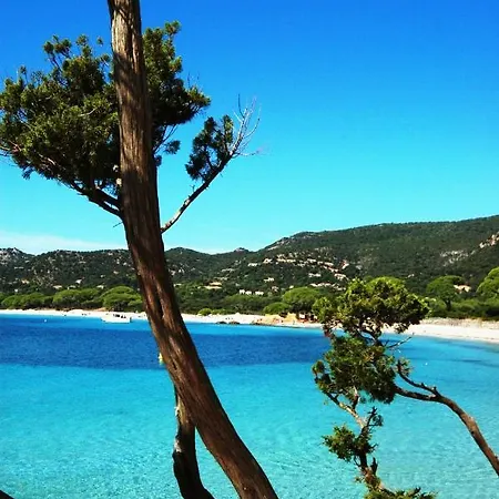 Air-conditioned Near Porto Vecchio, 500 M Sea, 6 People, Two Bathrooms * ゾンザ