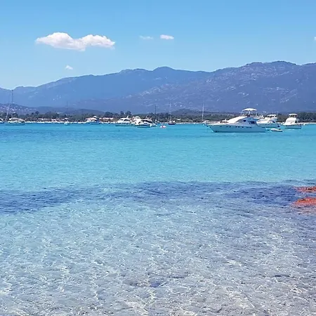 Air-conditioned Near Porto Vecchio, 500 M Sea, 6 People, Two Bathrooms * ゾンザ